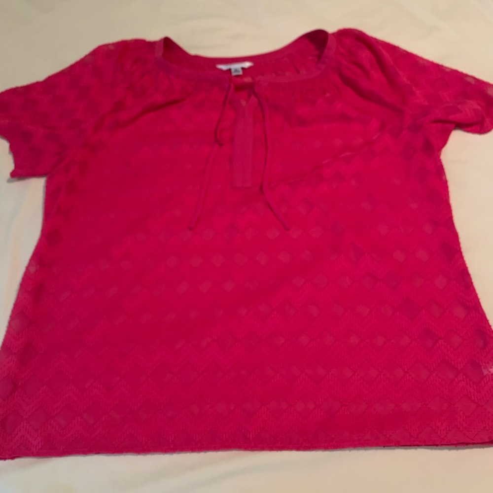 Women’s Pink Blouse